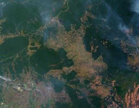 La déforestation de l'Amazonie vue par satellite