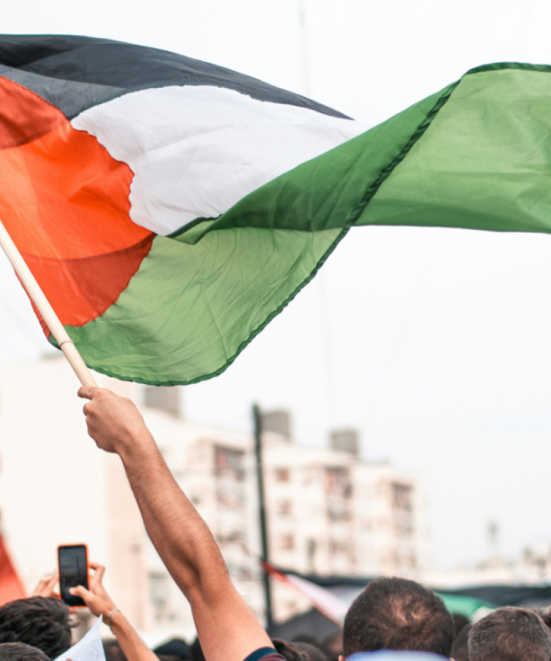 A palestinian flag being flown at a demonstration. The flag is blowing in the wind and a large crowd is below.
