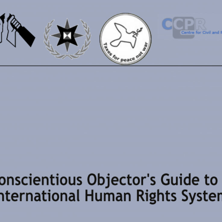 Cover of A Conscientious Objector's Guide to the International Human Rights System'