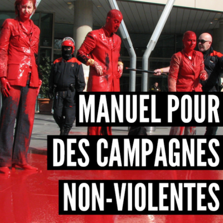Cover of Manuel Pour Des Campagnes Non-Violentes
