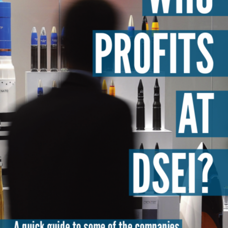 The front cover of our "Who profits at DSEI?" booklet